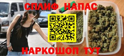 стаф Ставрополь