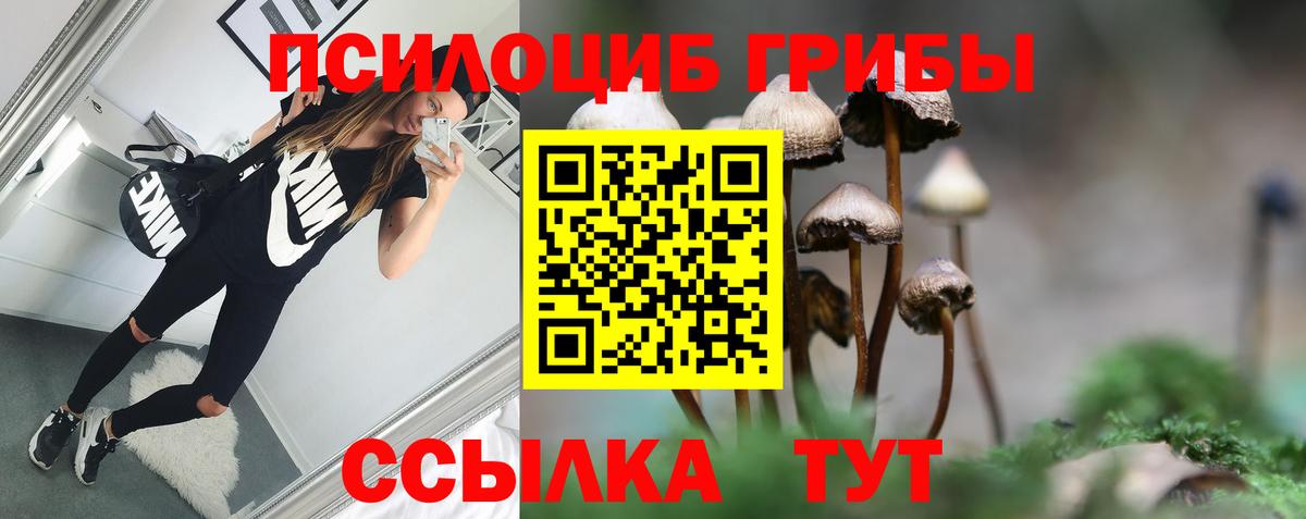 Орехово-Зуево  Галлюциногенные грибы Psilocybe  Вход с VPN 