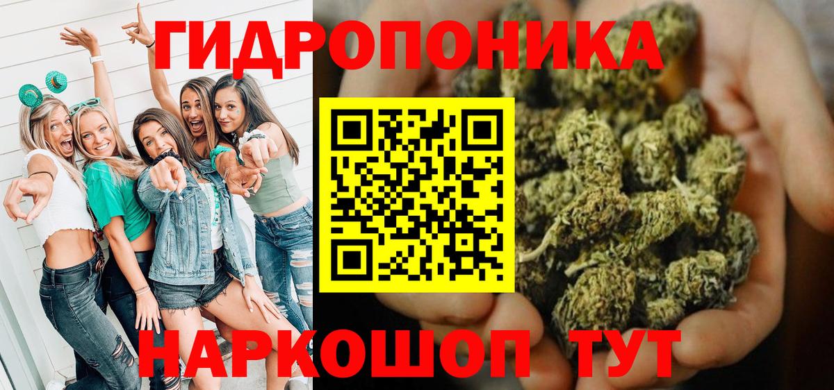 Бошки Шишки марихуана  Вход с VPN  Бошки Шишки сатива  Конопля семена  Орехово-Зуево 